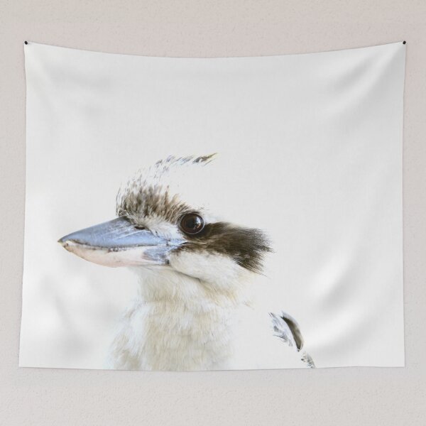 Item preview, Kookaburra exposed designed and sold by photosbymia.