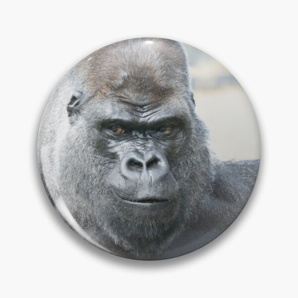 Item preview, Silverback Unforgettable Presence designed and sold by rawshutterbug.