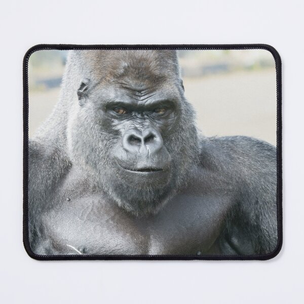 Item preview, Silverback Unforgettable Presence designed and sold by rawshutterbug.