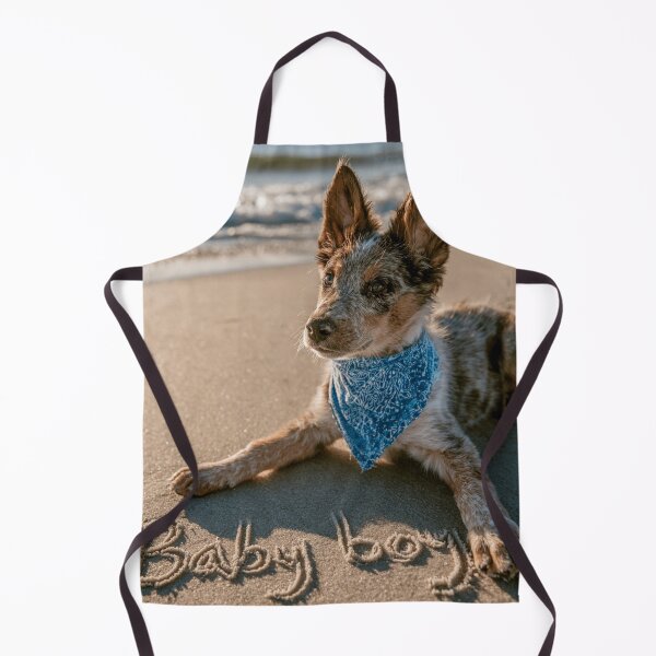 Item preview, Australian Cattle Dog Baby Boy Announcement designed and sold by chase-thewave.