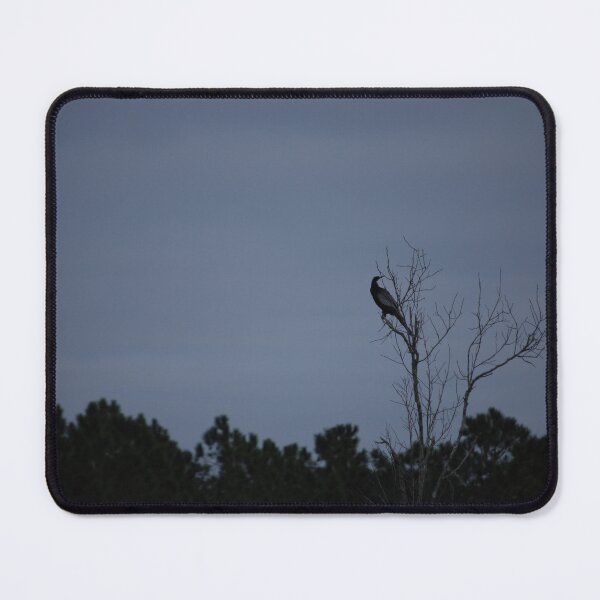 Item preview, Anhinga's Dawn designed and sold by JustCritters.