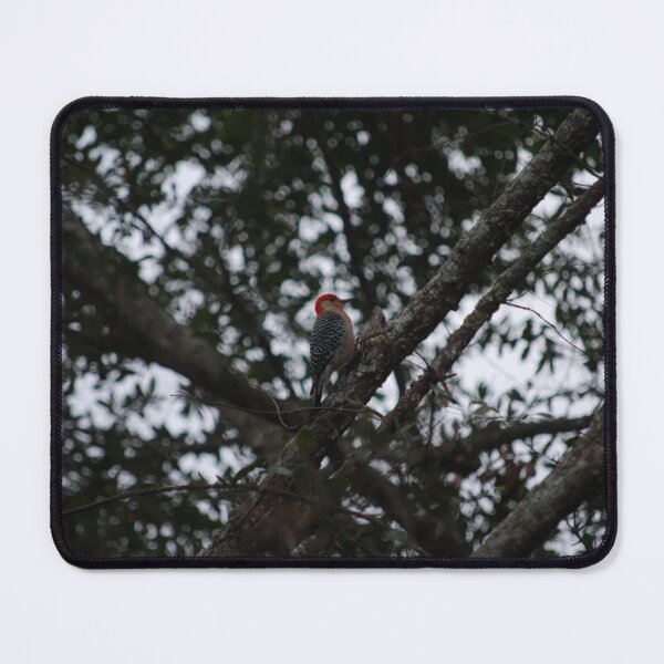 Item preview, Red-Bellied Woodpecker designed and sold by JustCritters.