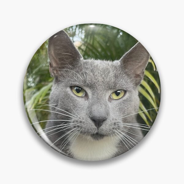 Item preview, Cool cat designed and sold by Tiahtana.