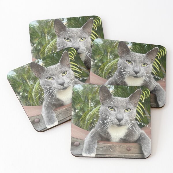 Item preview, Cool cat designed and sold by Tiahtana.