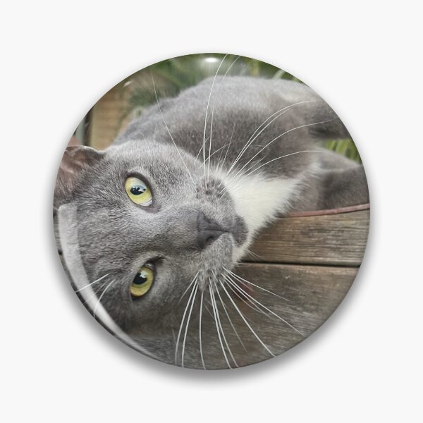 Item preview, Cat on a wall designed and sold by Tiahtana.