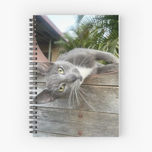 Item preview, Cat on a wall designed and sold by Tiahtana.
