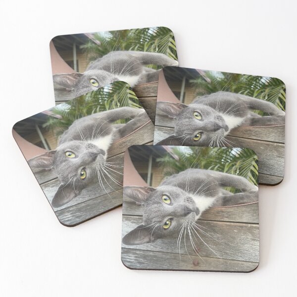 Item preview, Cat on a wall designed and sold by Tiahtana.