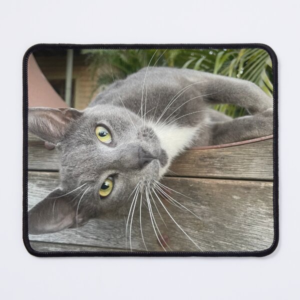 Item preview, Cat on a wall designed and sold by Tiahtana.