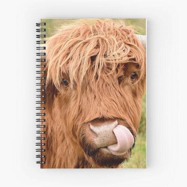 Item preview, Tasty, the highland cow designed and sold by photosbymia.