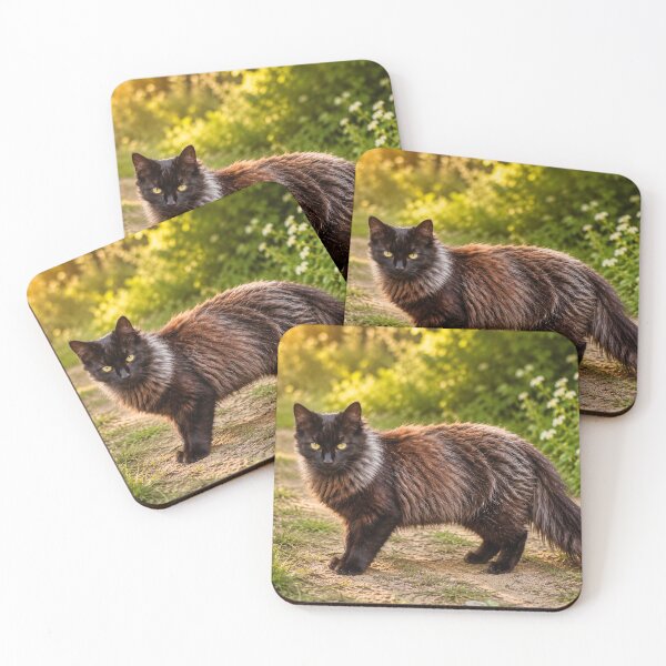 Item preview, Coco the Cat designed and sold by Natrual0903.