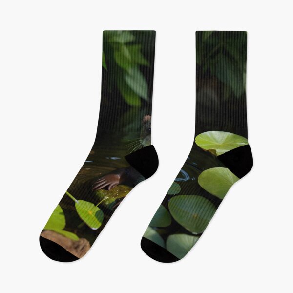 Item preview, Tiny Baby Otter Resting on Lily Pad designed and sold by CASASIS_MERCH.