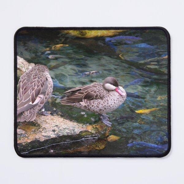Item preview, Red Billed Beauty designed and sold by JustCritters.