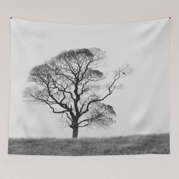 Item preview, Bare naked tree designed and sold by photosbymia.