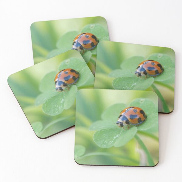 Item preview, Ladybug on Clover designed and sold by photosbymia.