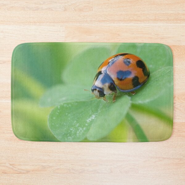 Item preview, Ladybug on Clover designed and sold by photosbymia.