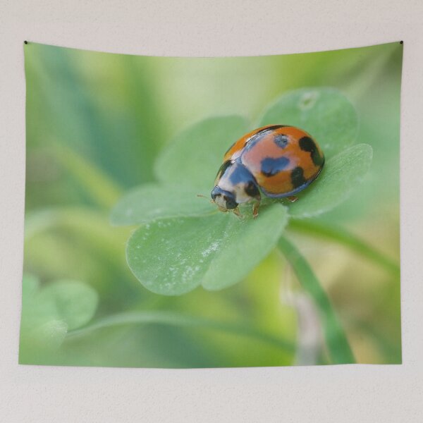 Item preview, Ladybug on Clover designed and sold by photosbymia.