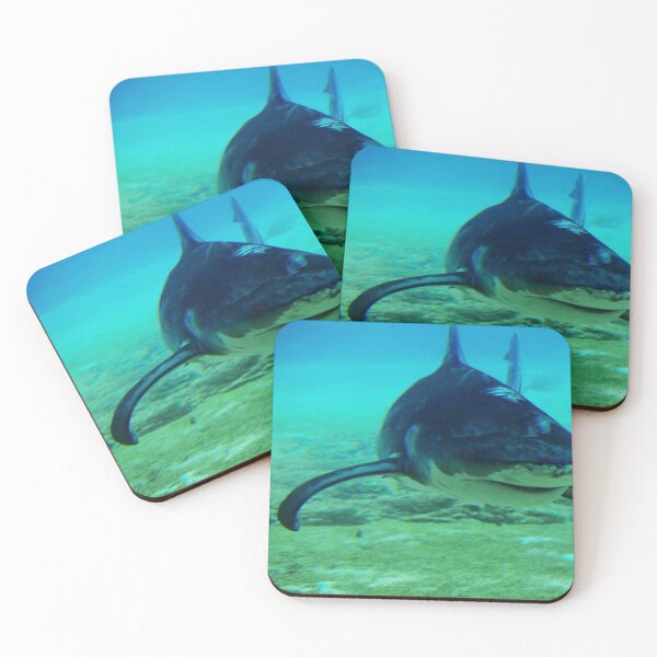 Item preview, Bull shark designed and sold by Alexey Dubrovin.