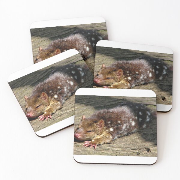 Item preview, Baby spotted quoll designed and sold by Alexey Dubrovin.