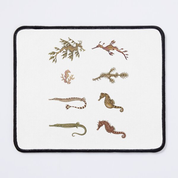 Item preview, Seahorse and Seadragon designed and sold by ArunDandiboina.