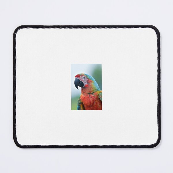 Item preview, Tropical Rainbow Macaw Portrait designed and sold by Style2010.