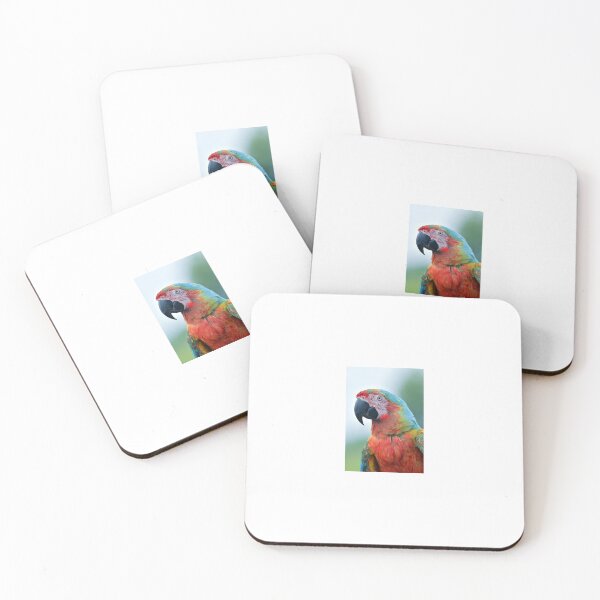 Item preview, Tropical Rainbow Macaw Portrait designed and sold by Style2010.