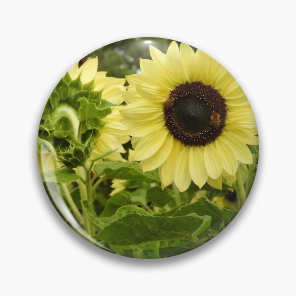 Item preview, Sunflowers designed and sold by Cate-Green.