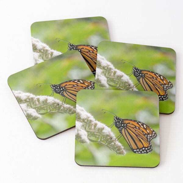 Item preview, Monarch Butterfly on White Blossom - Nature Icon designed and sold by sky earth human.