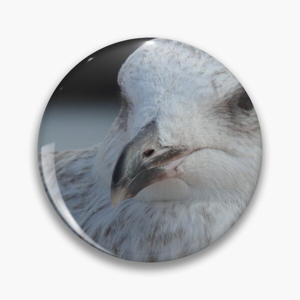 Item preview, Pacific Gull designed and sold by Cate-Green.