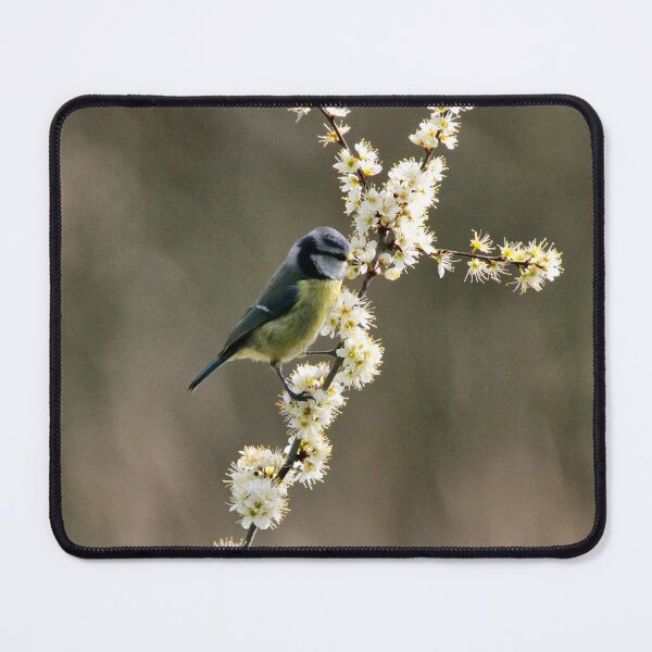 Item preview, blue tit designed and sold by KathleenDawson.