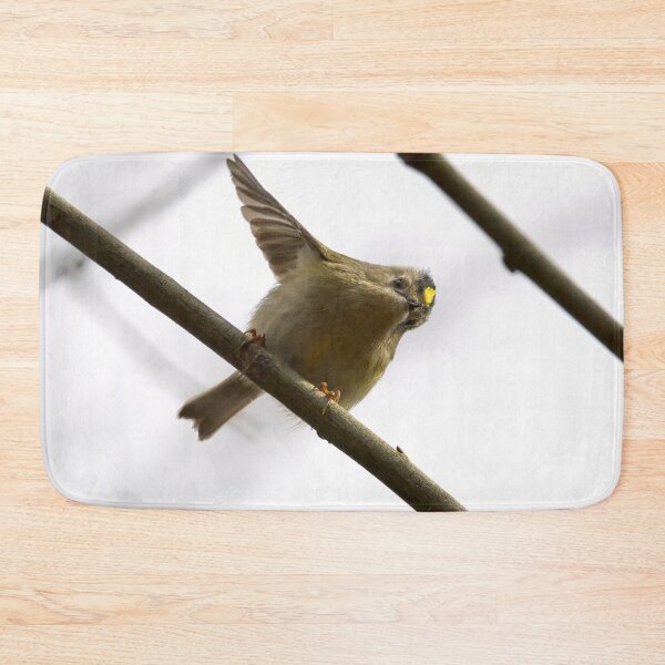 Item preview, That way. Goldcrest Spring 2026 designed and sold by Jouko Lehto Photography.