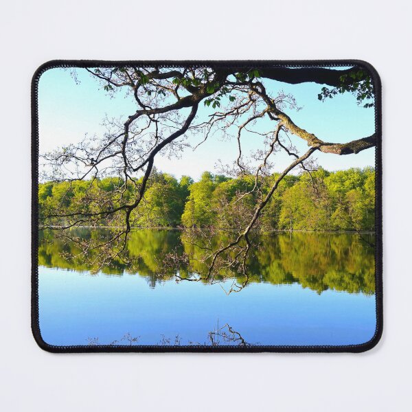Item preview, Forest lake in the early morning designed and sold by Trine.