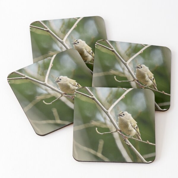 Item preview, Ode. Goldcrest Spring 2026 designed and sold by Jouko Lehto Photography.