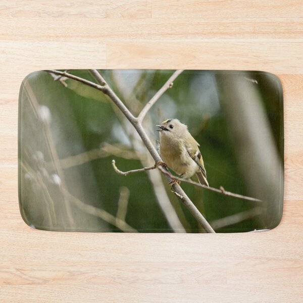Item preview, Ode. Goldcrest Spring 2026 designed and sold by Jouko Lehto Photography.
