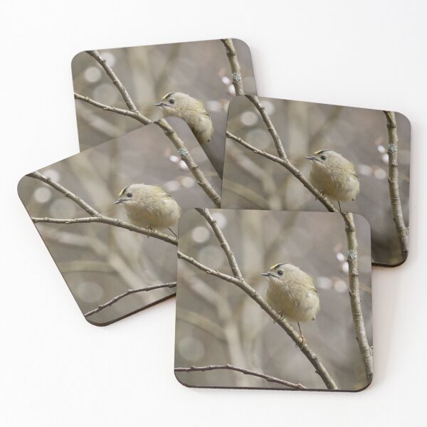Item preview, In the willow. Goldcrest Spring 2026 designed and sold by Jouko Lehto Photography.