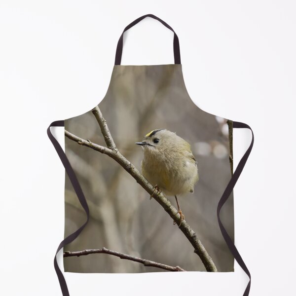 Item preview, In the willow. Goldcrest Spring 2026 designed and sold by Jouko Lehto Photography.