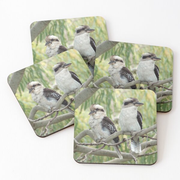 Item preview, Kookaburra sits in the old gum tree designed and sold by photosbymia.