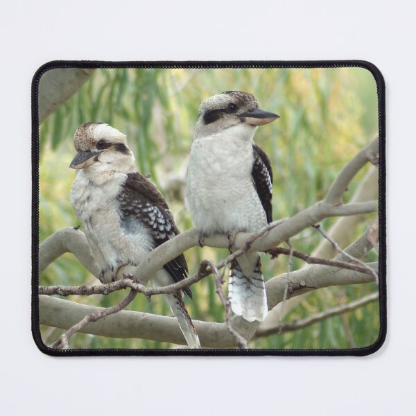 Item preview, Kookaburra sits in the old gum tree designed and sold by photosbymia.