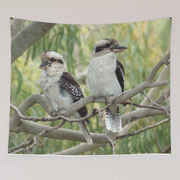 Item preview, Kookaburra sits in the old gum tree designed and sold by photosbymia.