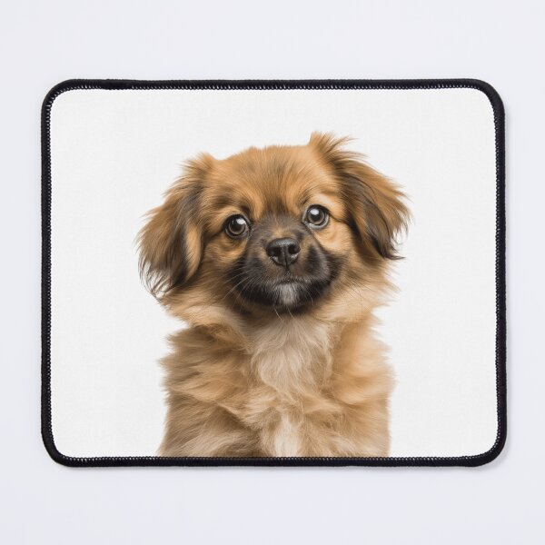 Item preview, Adorable Tibetan Spaniel puppy for Cute Tibbie puppy lovers designed and sold by LazyOwlStore.