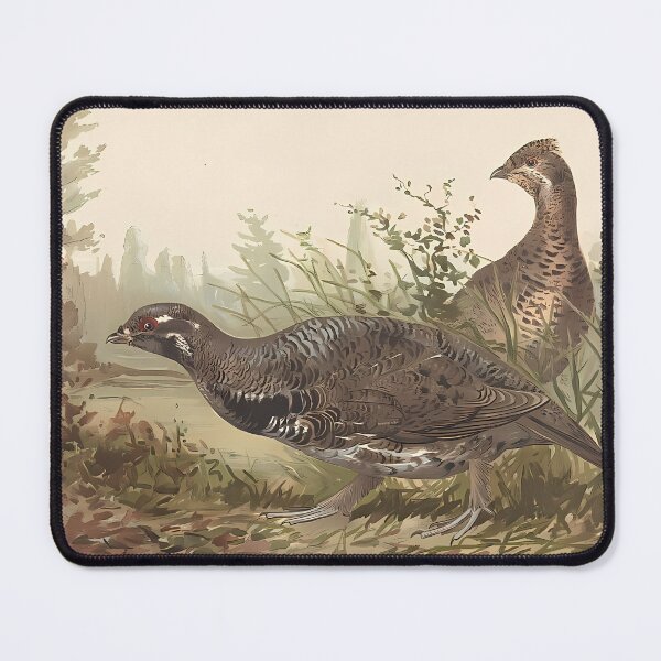 Item preview, Grouse Drawing | Bird Art designed and sold by GammaRay.