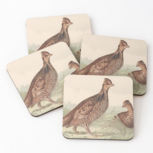 Item preview, Prairie Chicken Portrait | Bird Art designed and sold by GammaRay.