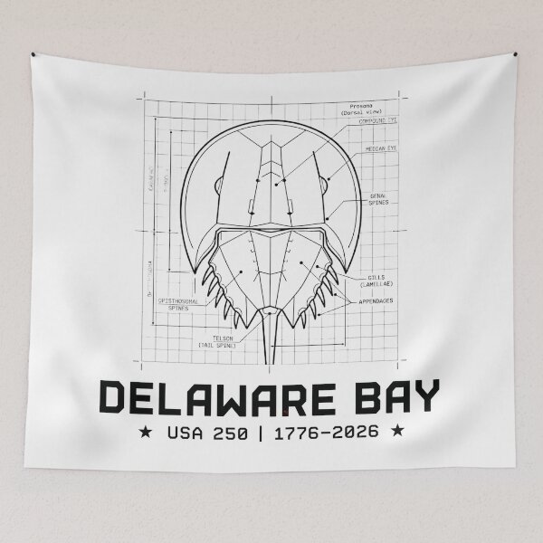 Item preview, Delaware Bay Horseshoe Crab Blueprint designed and sold by rygenr8.
