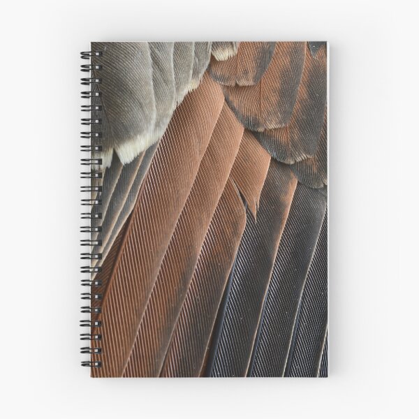Item preview, Wings of a dove designed and sold by photosbymia.