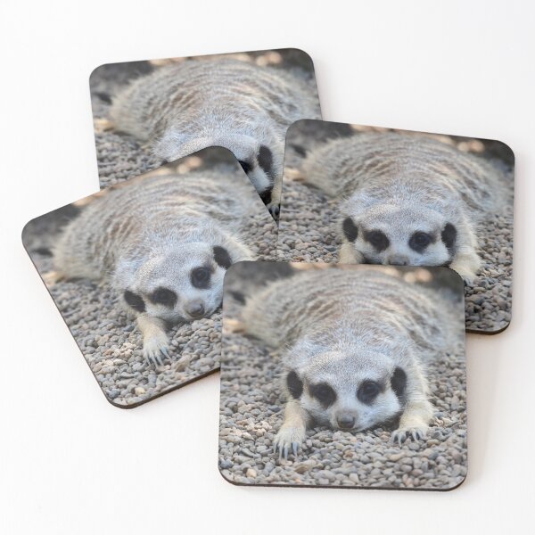 Item preview, Meerkat Rug designed and sold by photosbymia.