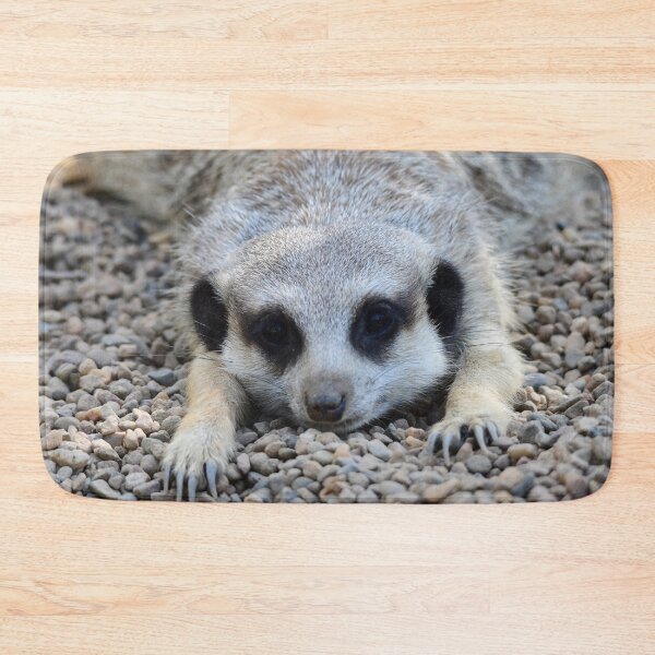 Item preview, Meerkat Rug designed and sold by photosbymia.