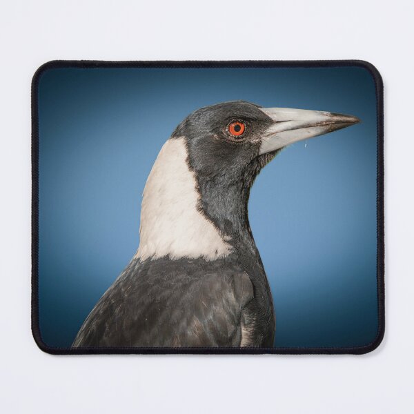 Item preview, Australian Magpie designed and sold by robdwildlife.