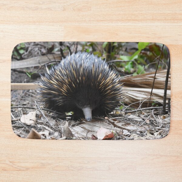 Item preview, Echidna designed and sold by photosbymia.