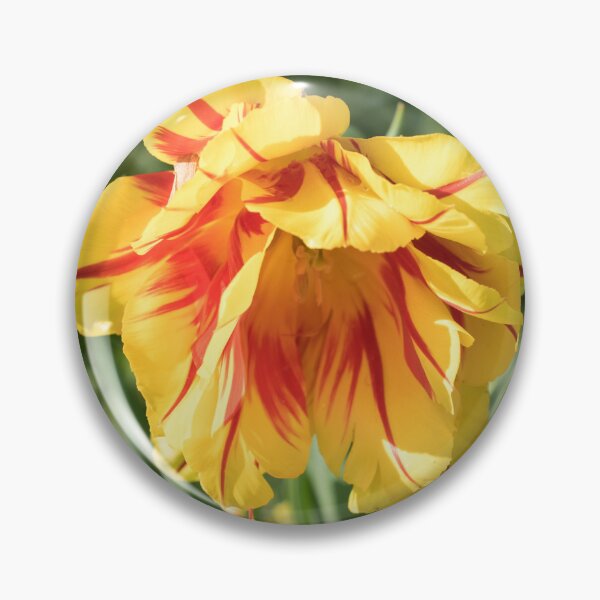 Item preview, Flamboyant Red and Yellow Parrot Tulip designed and sold by Georgia Mizuleva.