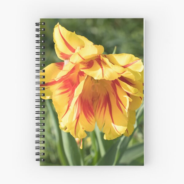Item preview, Flamboyant Red and Yellow Parrot Tulip designed and sold by Georgia Mizuleva.