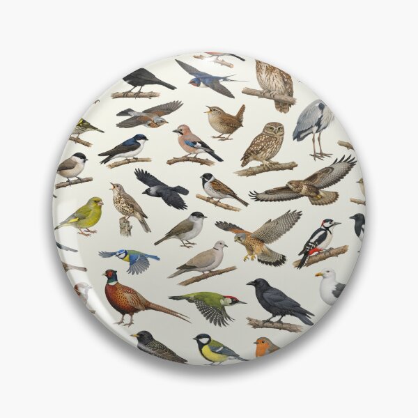 Item preview, British Garden Birds Ornithology Identification Chart designed and sold by kakarikihill.